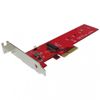 PCI-Express 4x pour un SSD M.2 NVMe | Roline 