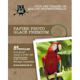 Papier Photo Glacé Premium 10x15 20f. 210Gr - H210A620 | InkStock