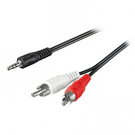 Câble Audio Jack 3.5 - 2 RCA 10m - 108530108531 | Générique