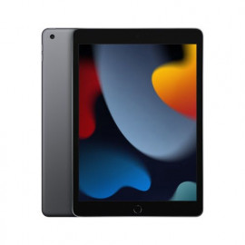 iPad (2021) 64 Go Wi-Fi Gris Sidéral - MK2K3NFA | Apple