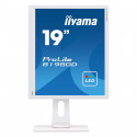 B1980D-W1 - 19" TN/5ms/HD/VGA/DVI - B1980DW1 | Iiyama 