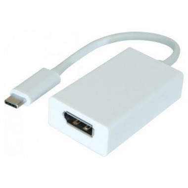 Adaptateur USB3.1 C vers DisplayPort 1.2 Femelle | Dacomex 