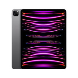 iPad Pro 12.9" Wi-Fi 256GB Gris Sidéral - MNXR3NFA | Apple