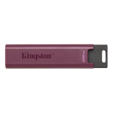 256GB USB 3.2 DATATRAVELER MAX - DTMAXA256GB | Kingston 
