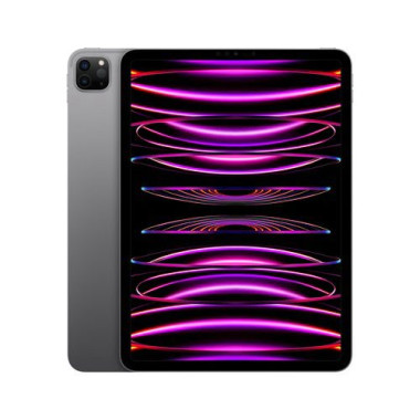 iPad Pro (2022) 11" 256 Go Wi-Fi Gris Sidéral - MNXF3NFA | Apple 
