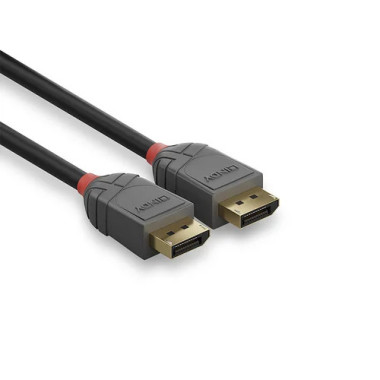 Cable Display Port Anthra Line - 1.4 - 2M - Male-Male - 36482 | Lindy 